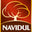 Navidul logo
